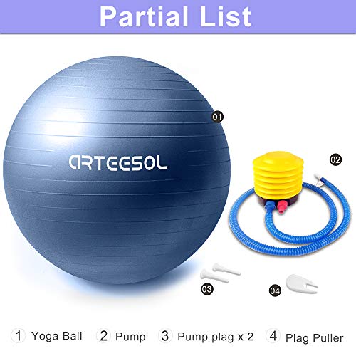 Blackace arteesol Exercise Ball 45cm / 55cm / 65cm / 75cm Anti-burst Anti-slip Yoga Swiss Ball Birthing Ball Quick Pump Fitness Gym Yoga Pilates Core Training Physical Therapy