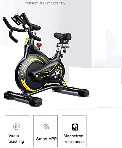 MGIZLJJ Professional Indoor Exercise Bikes,with Electronic Meter Display: Scan, Speed, Time, Distance, Calories Spin Bike Cardio Workout