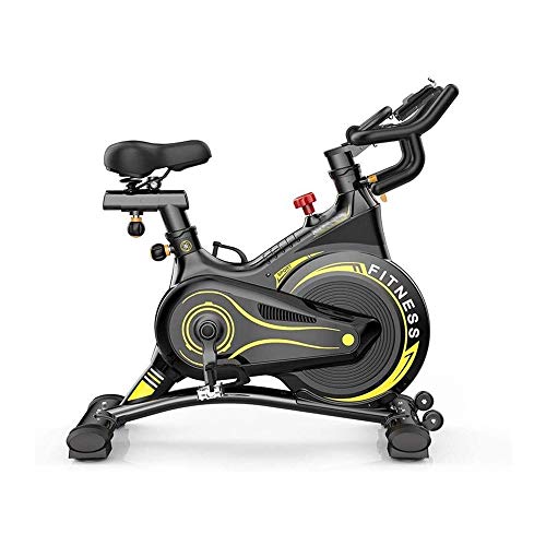 MGIZLJJ Professional Indoor Exercise Bikes,with Electronic Meter Display: Scan, Speed, Time, Distance, Calories Spin Bike Cardio Workout