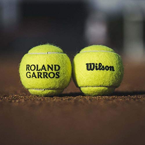 Wilson Unisex-Adult Roland Garros All Court Tennis Ball, Yellow