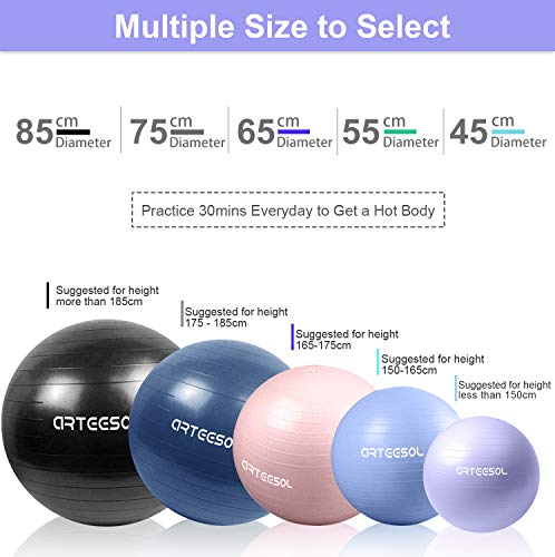 Blackace arteesol Exercise Ball 45cm / 55cm / 65cm / 75cm Anti-burst Anti-slip Yoga Swiss Ball Birthing Ball Quick Pump Fitness Gym Yoga Pilates Core Training Physical Therapy