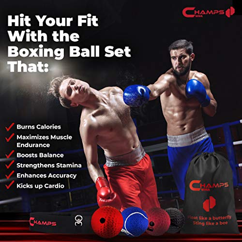 Champs MMA Boxing Reflex Ball - Boxing Equipment Fight Speed, Boxing Gear Punching Ball Great for Reaction Speed and Hand Eye Coordination Training Reflex Bag (Set of 4)