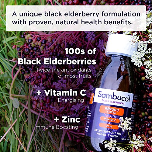 Sambucol Natural Black Elderberry Immuno Forte, Vitamin C, Zinc, Immune Support Supplement, 120 ml (Pack of 1)